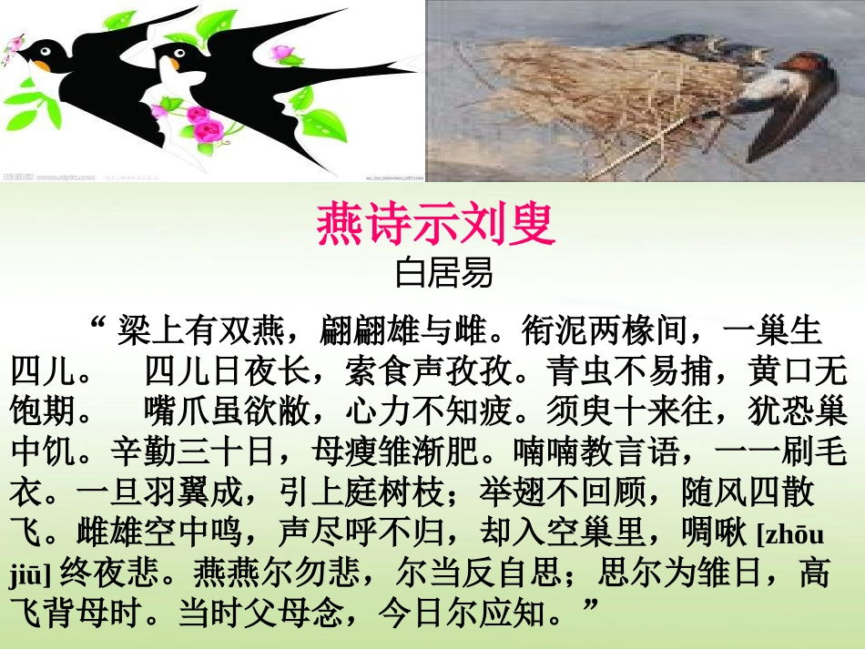 湘教版四年级科学翩翩雌与雄PPT课件_第2页