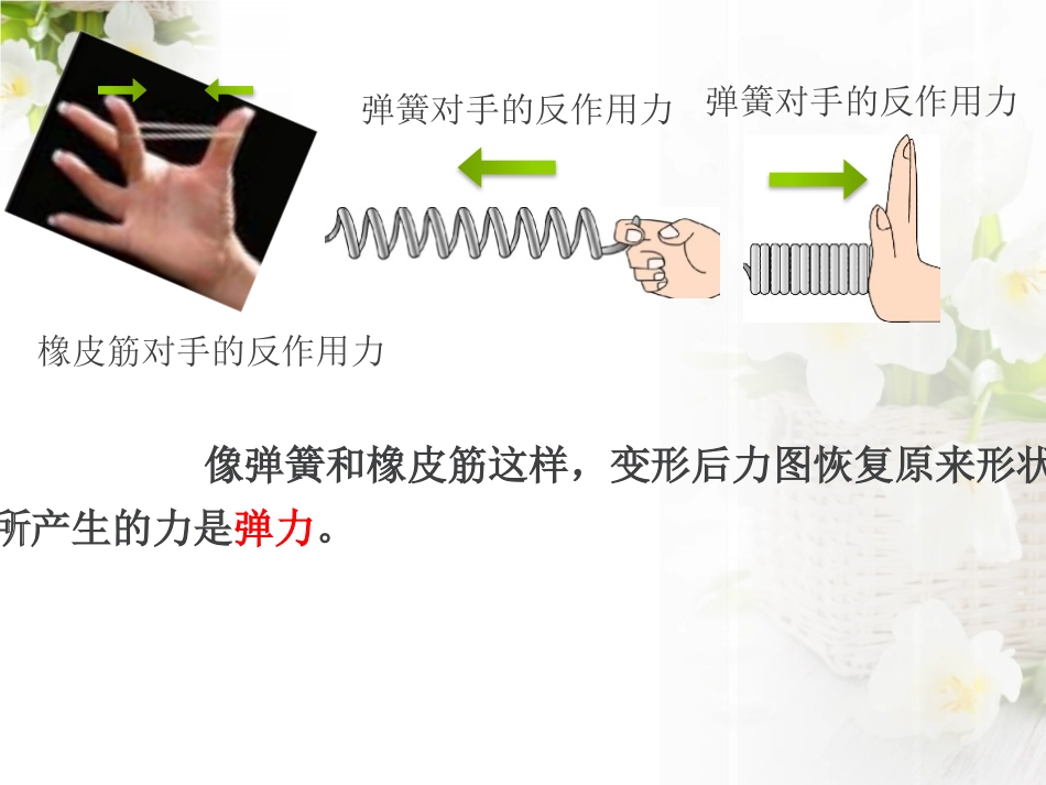 湘教版四年级科学弹簧和橡皮筋PPT课件_第3页
