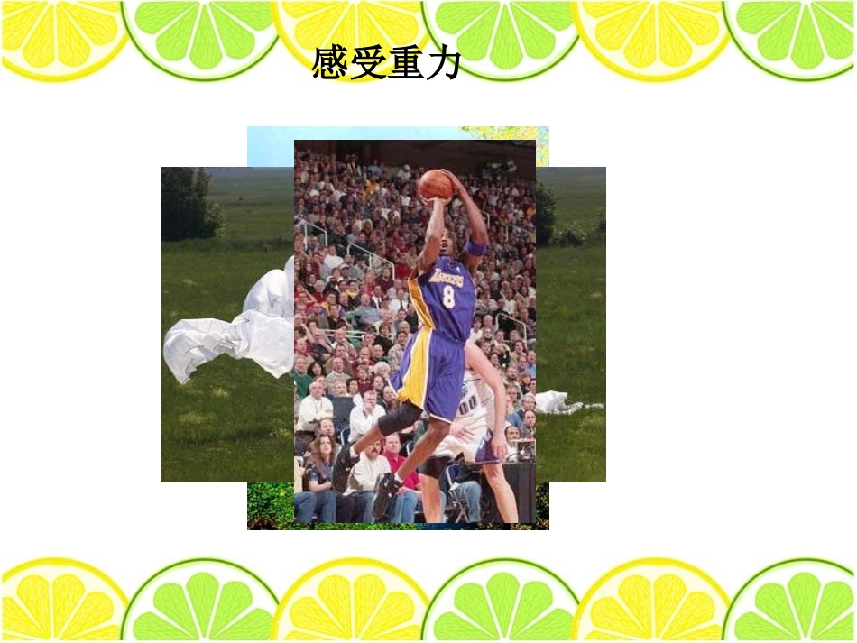 湘教版四年级科学苹果落地的秘密PPT课件_第3页