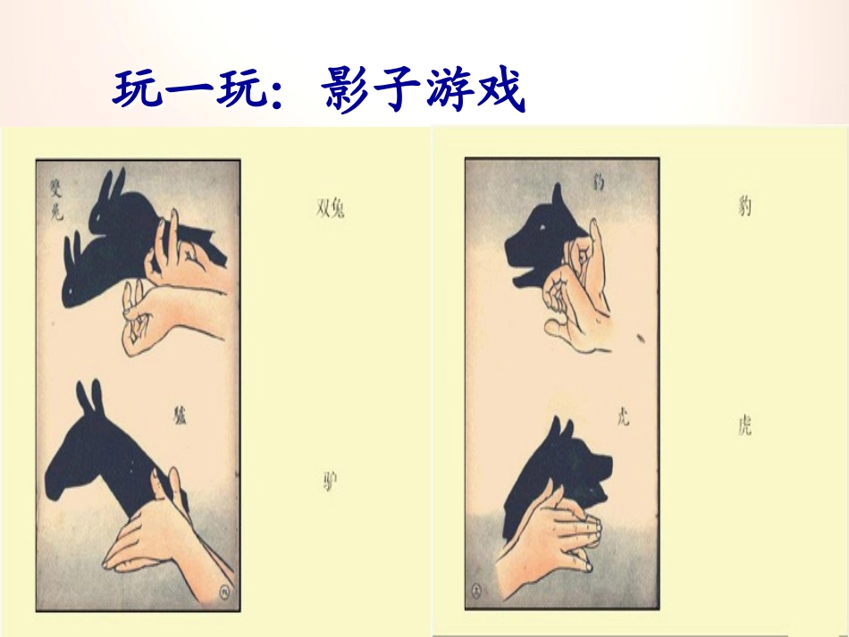 湘教版五年级科学太阳与影子PPT课件_第3页