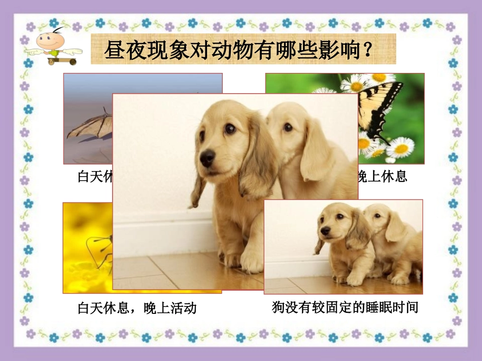 湘教版五年级科学昼夜交替PPT课件_第3页