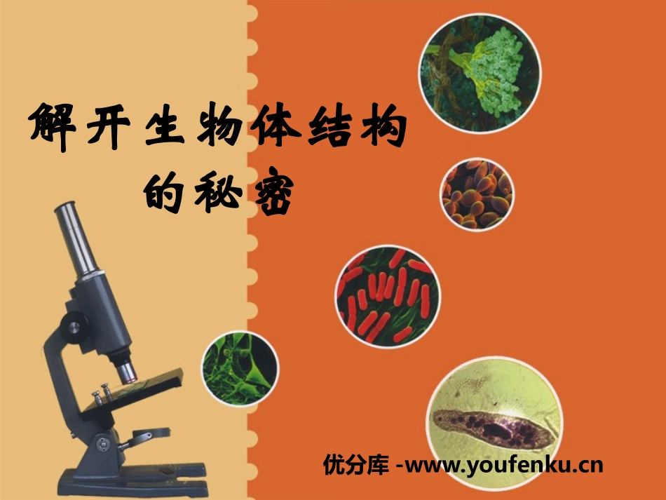湘教版五年级科学解开生物体结构的秘密PPT课件_第1页