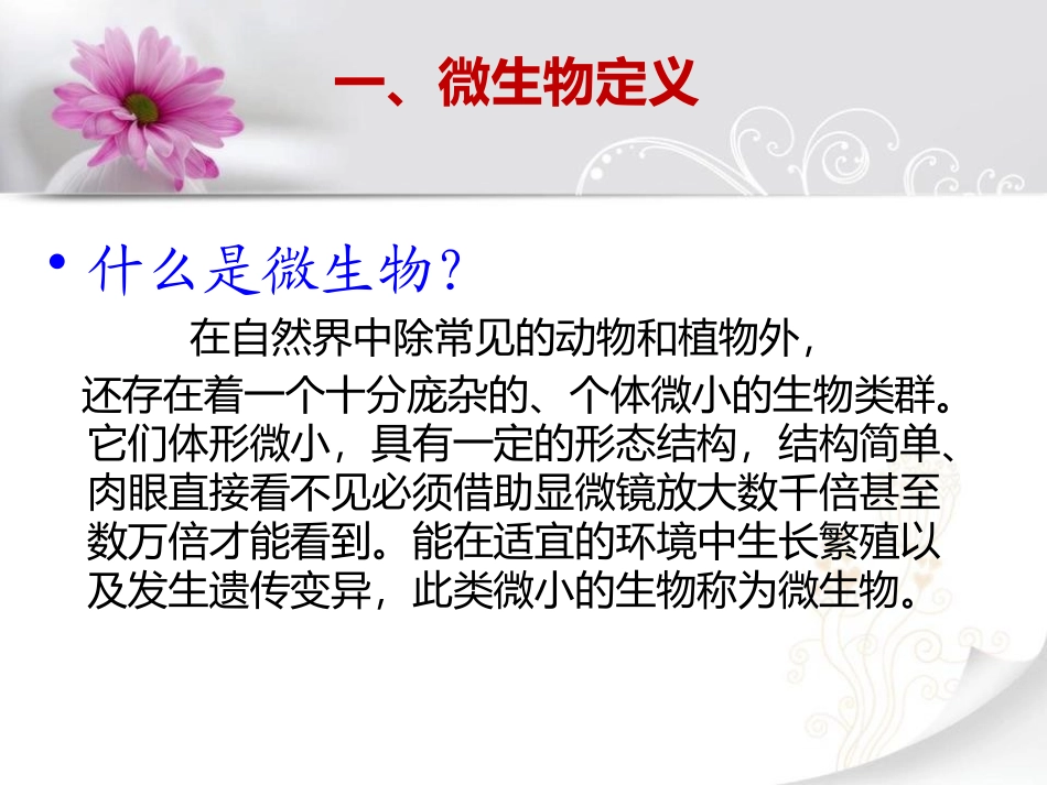 湘教版五年级科学无处不在的微生物PPT课件_第2页