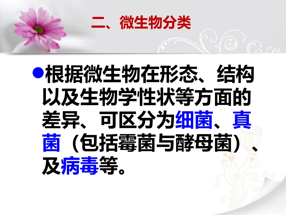 湘教版五年级科学无处不在的微生物PPT课件_第3页
