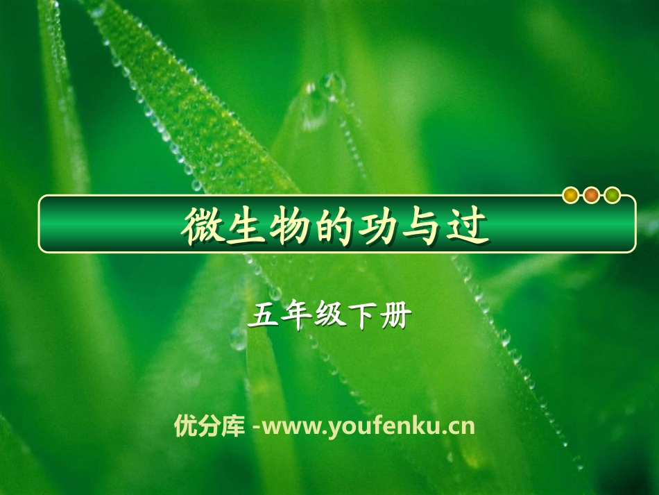 湘教版五年级科学微生物的功与过PPT课件_第1页
