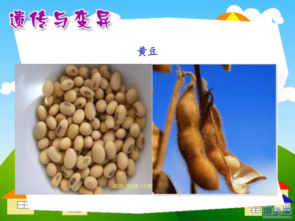 湘教版五年级科学从种瓜得瓜说起PPT课件_第3页