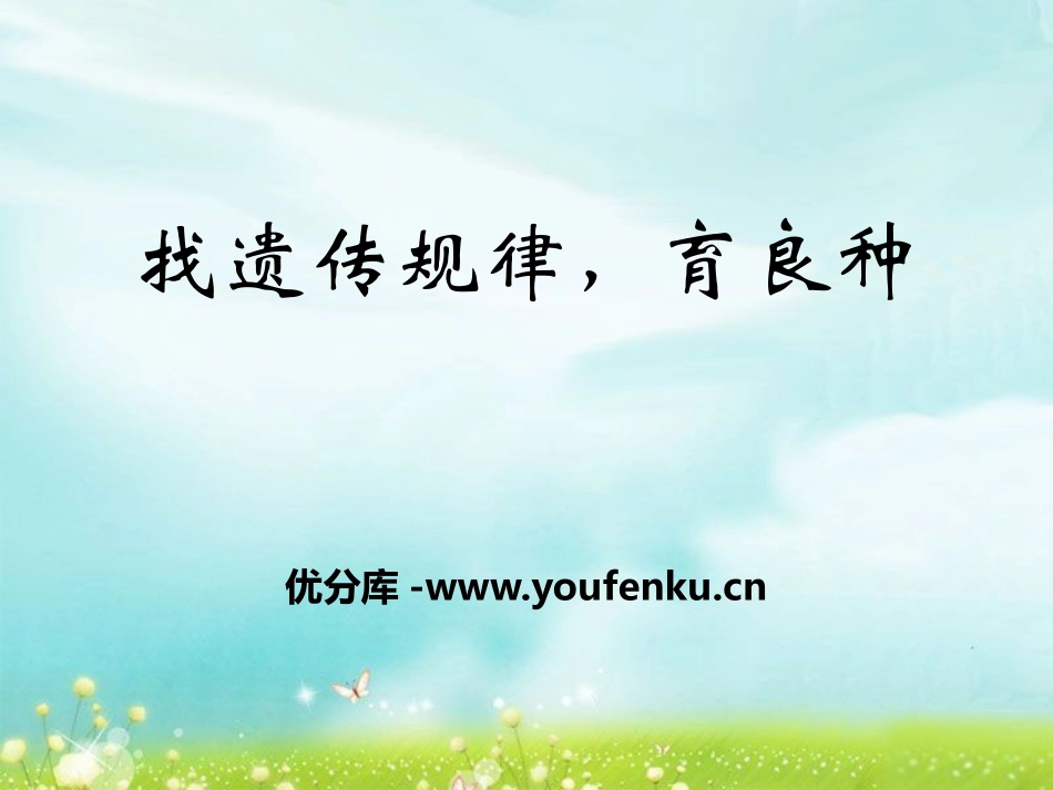 湘教版五年级科学找遗传规律,育良种PPT课件_第1页