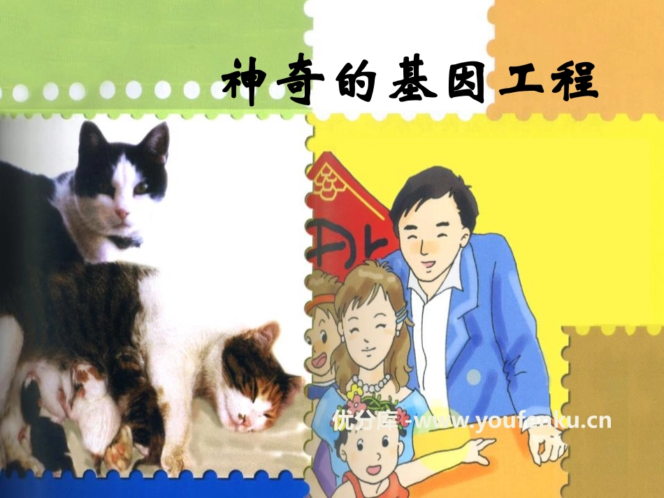 湘教版五年级科学神奇的基因工程PPT课件_第1页