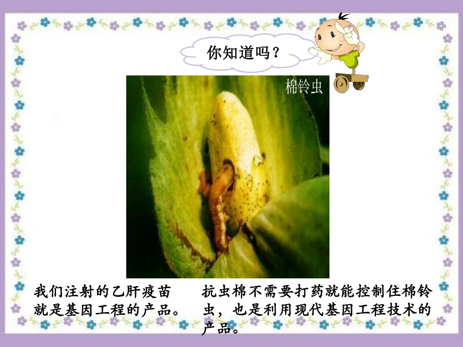 湘教版五年级科学神奇的基因工程PPT课件_第3页