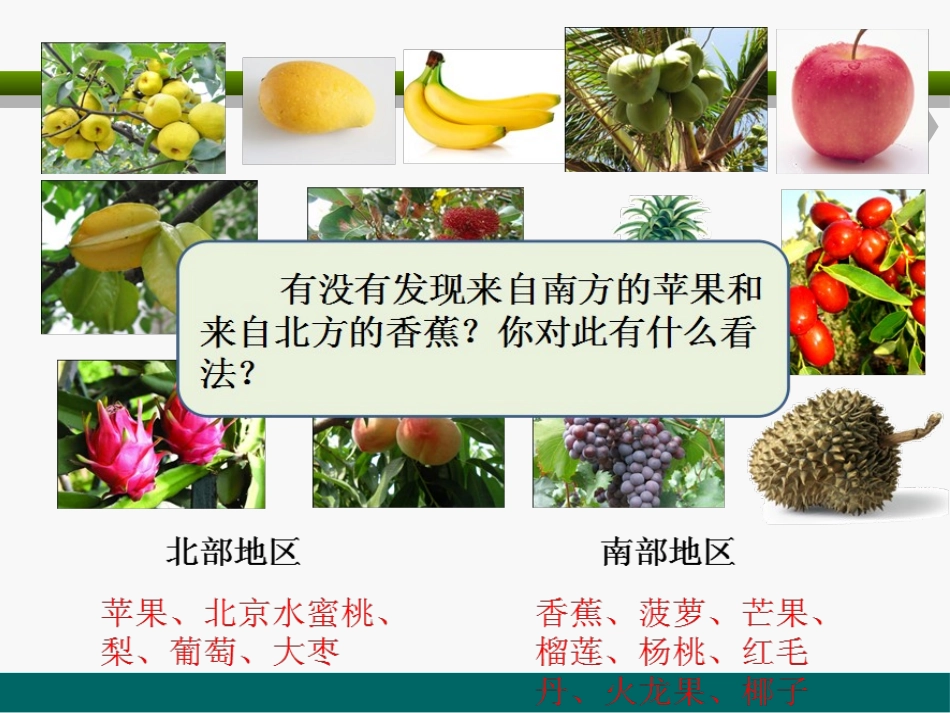 湘教版六年级科学从南橘北枳说起PPT课件_第3页