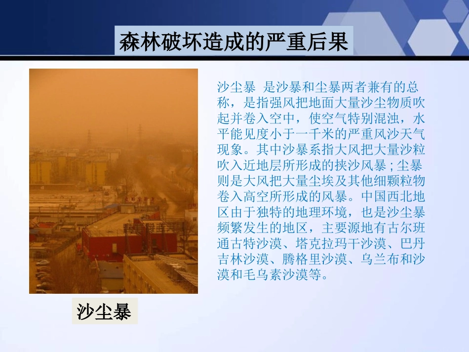 湘教版六年级科学假如大树都倒下PPT课件_第2页