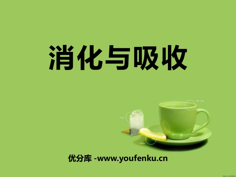 湘教版六年级科学消化与吸收PPT课件_第1页