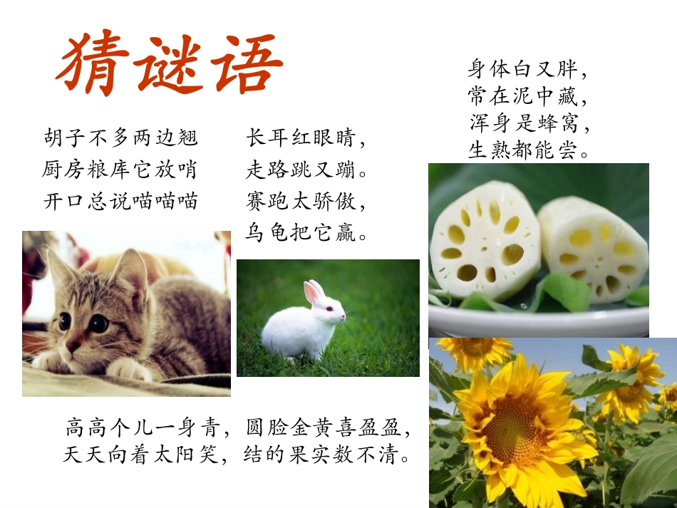 青岛版三年级科学我们周围的动植物PPT课件_第2页
