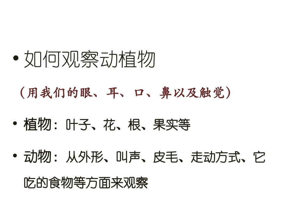青岛版三年级科学我们周围的动植物PPT课件_第3页