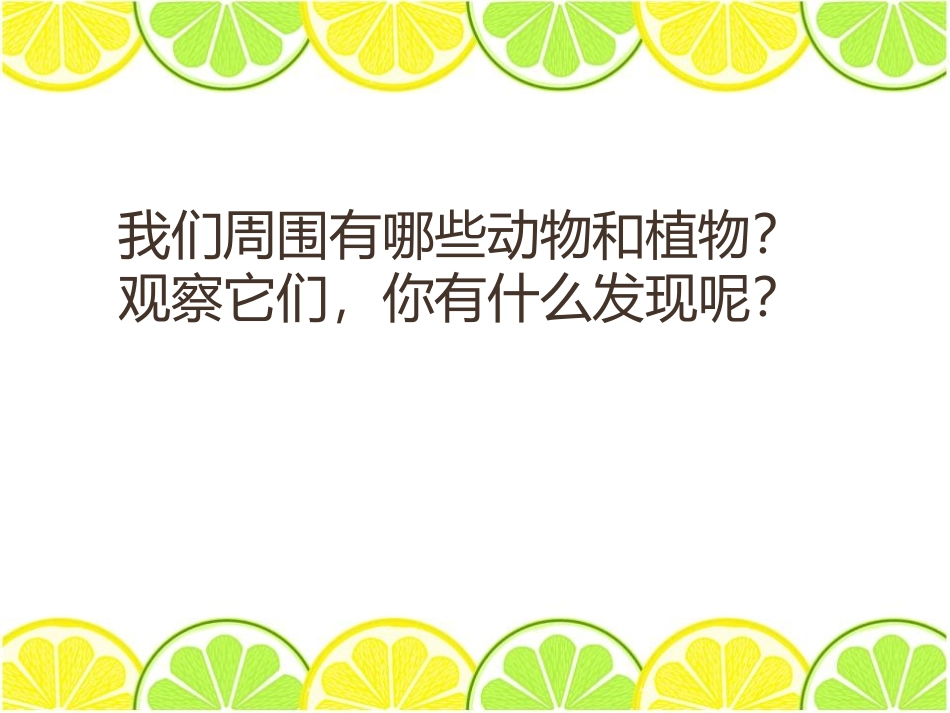 青岛版三年级科学我们周围的动植物PPT课件_第2页