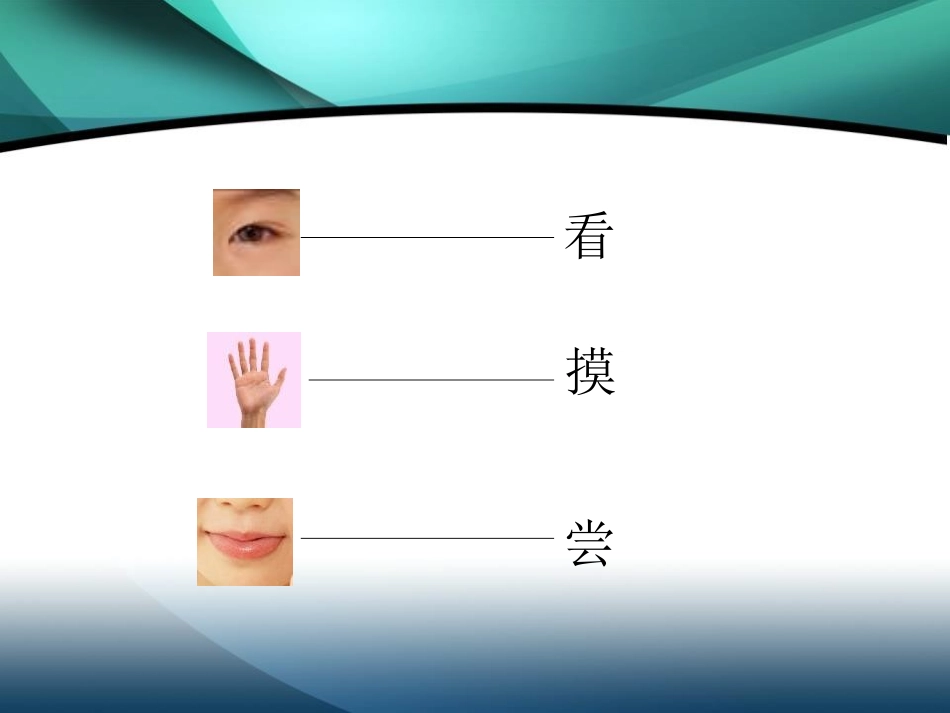 青岛版三年级科学怎样认识物体PPT课件_第2页