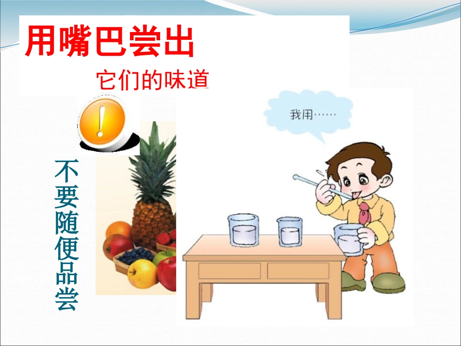青岛版三年级科学怎样认识物体PPT课件_第3页