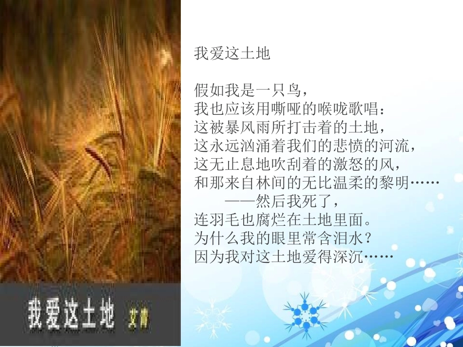 青岛版三年级科学土壤的种类PPT课件_第2页