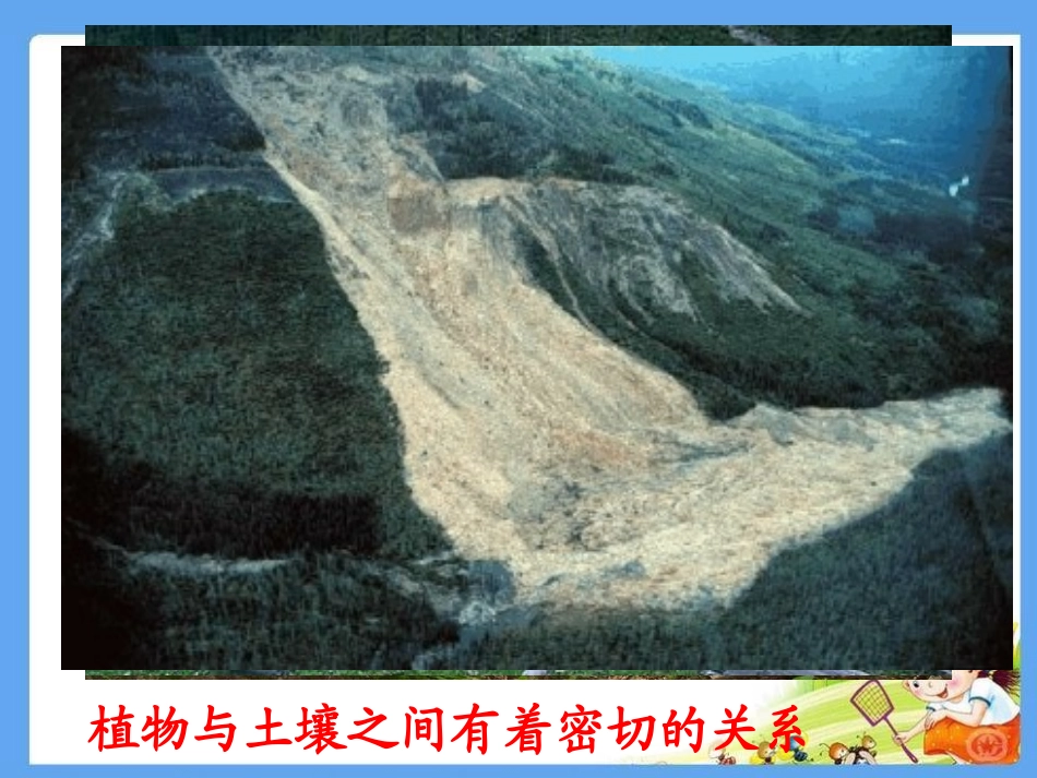 青岛版三年级科学土壤与植物PPT课件_第2页