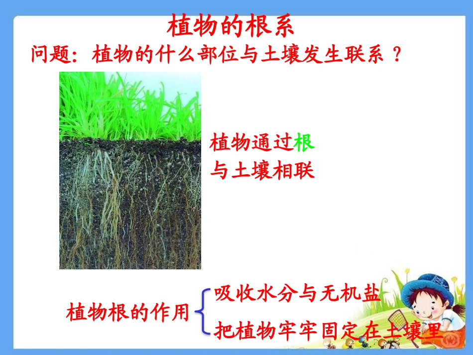 青岛版三年级科学土壤与植物PPT课件_第3页