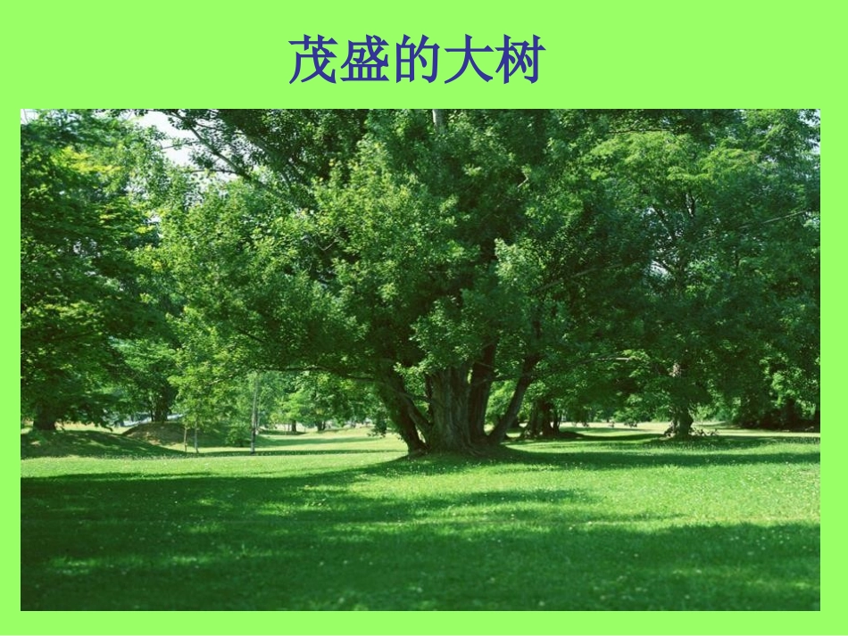 青岛版三年级科学土壤与植物PPT课件_第2页