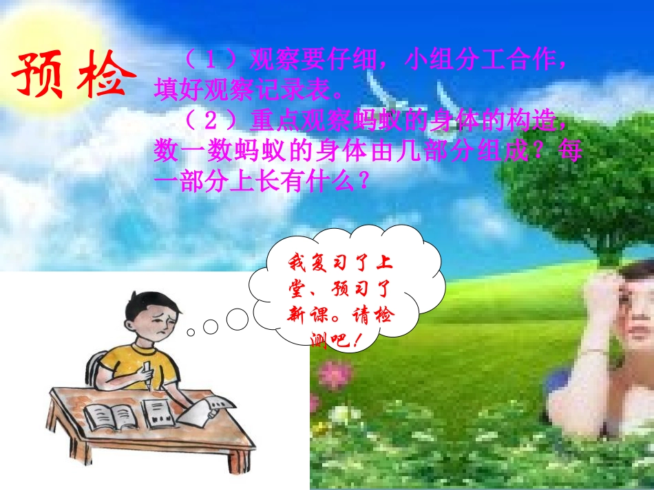 青岛版三年级科学蚂蚁PPT课件_第2页