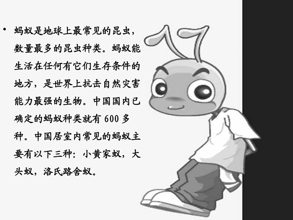 青岛版三年级科学蚂蚁PPT课件_第2页