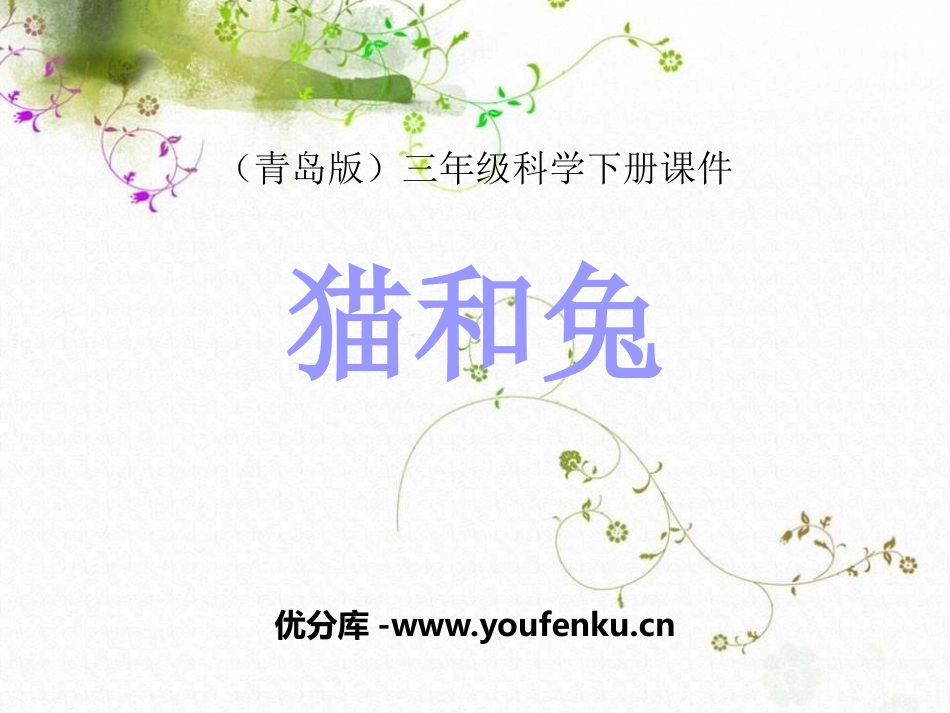 青岛版三年级科学猫和兔PPT课件_第1页