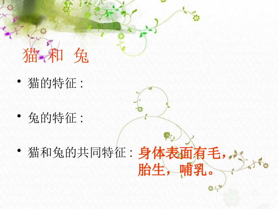青岛版三年级科学猫和兔PPT课件_第2页