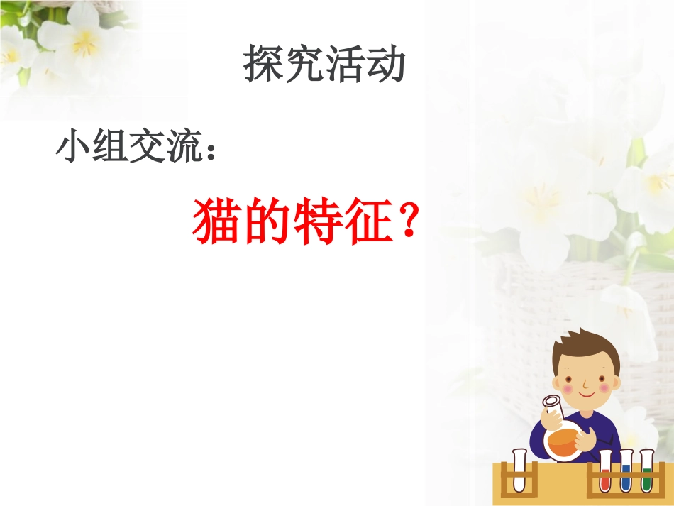 青岛版三年级科学猫和兔PPT课件_第2页