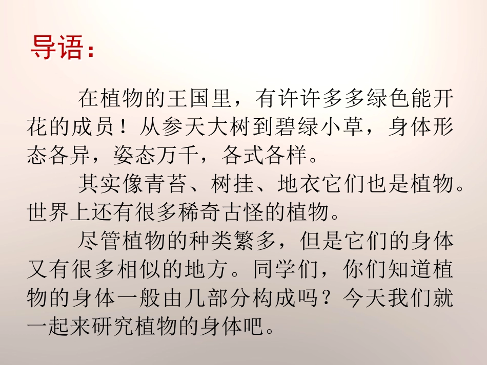 青岛版四年级科学植物的身体PPT课件_第2页