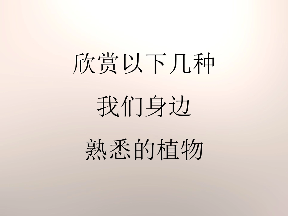 青岛版四年级科学植物的身体PPT课件_第3页