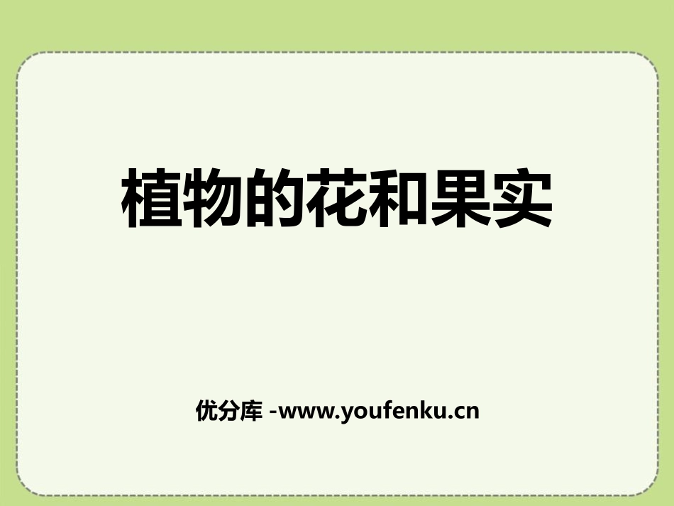 青岛版四年级科学植物的花和果实PPT课件_第1页