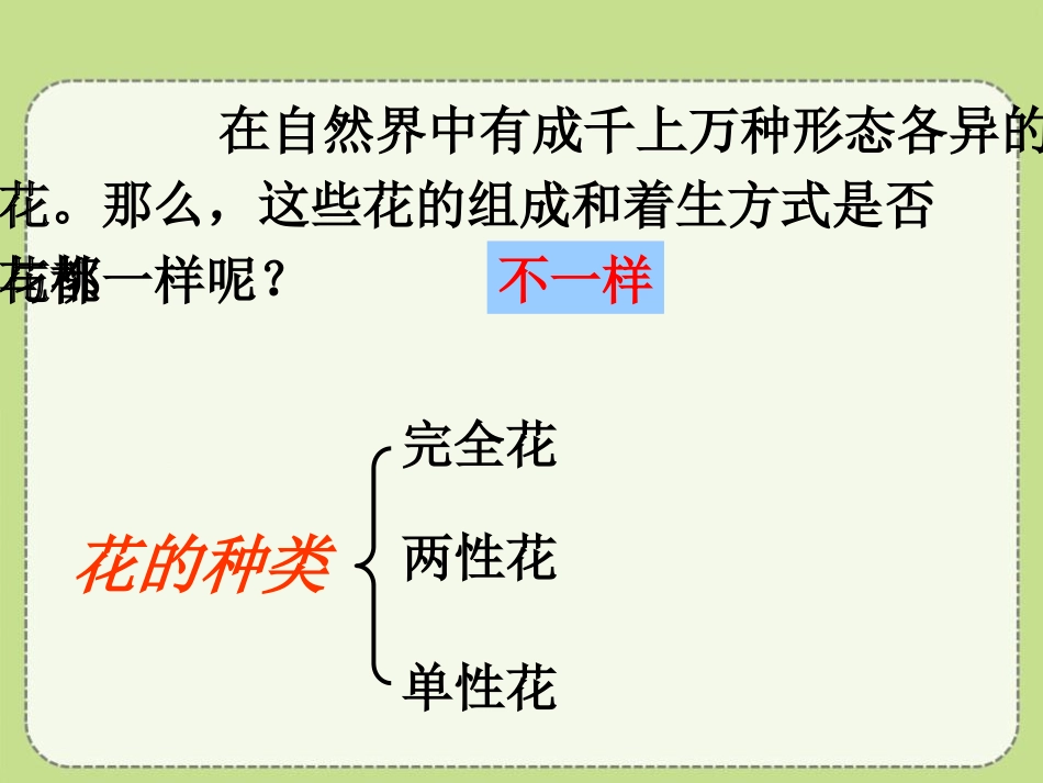 青岛版四年级科学植物的花和果实PPT课件_第3页
