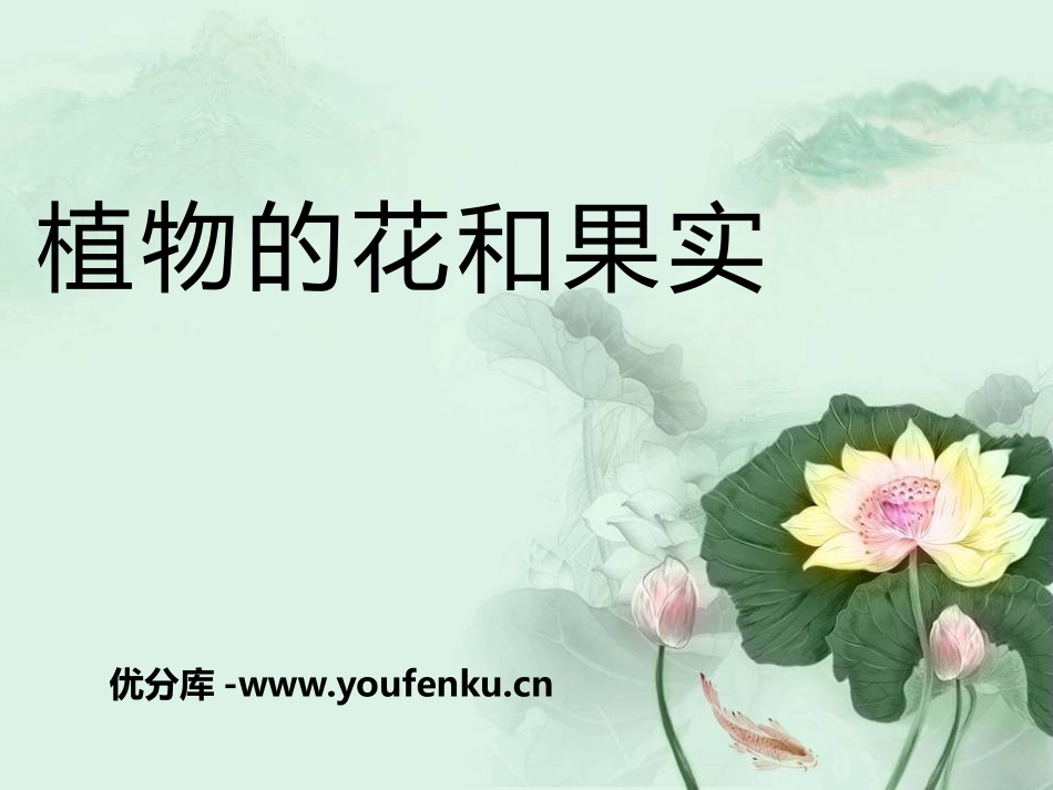 《植物的花和果实》PPT课件[青岛版四年级科学上册]_第1页