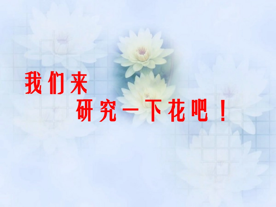 《植物的花和果实》PPT课件[青岛版四年级科学上册]_第2页
