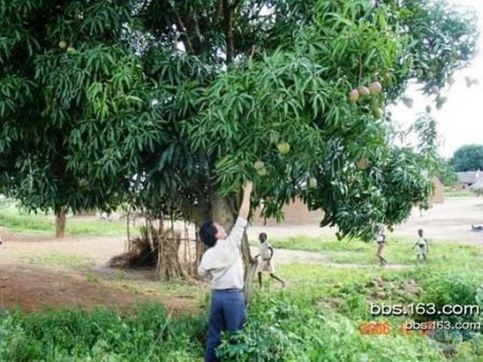 《卖木雕的少年》PPT课件[部编版三年级语文下册]_第2页