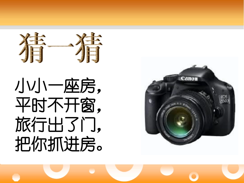 《照相机和眼睛》PPT课件[青岛版四年级科学下册]_第2页