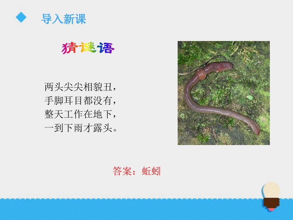 《蚯蚓找家》PPT课件[青岛版四年级科学下册]_第2页