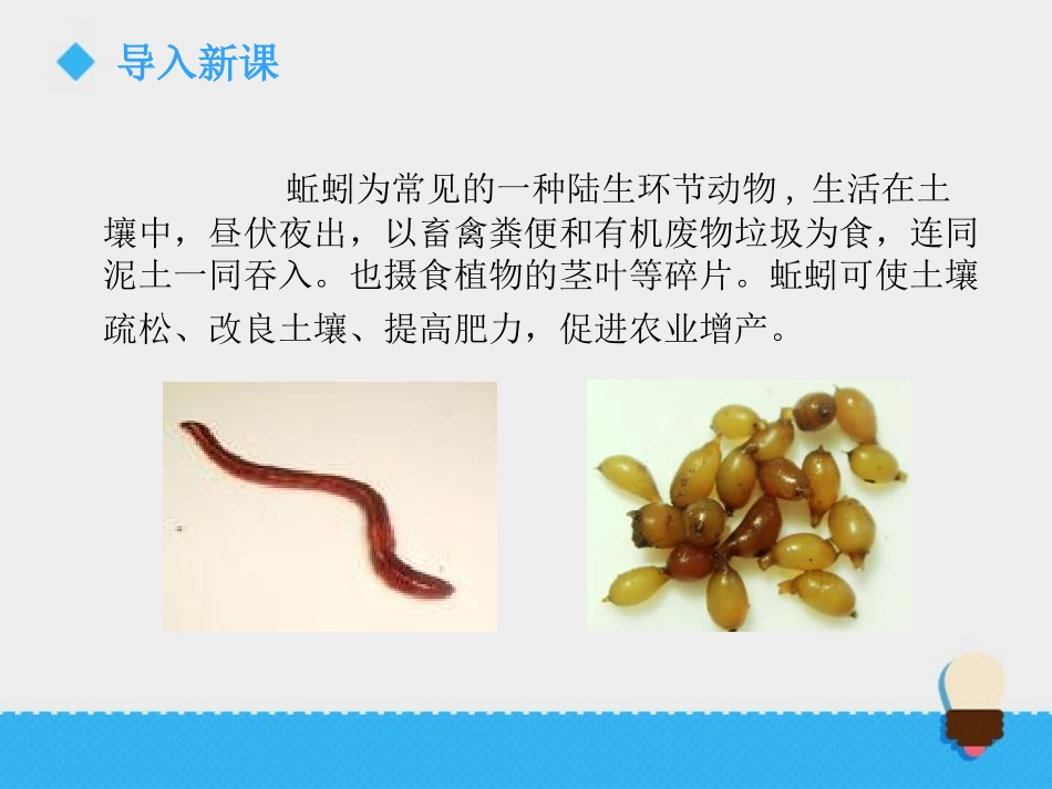 《蚯蚓找家》PPT课件[青岛版四年级科学下册]_第3页