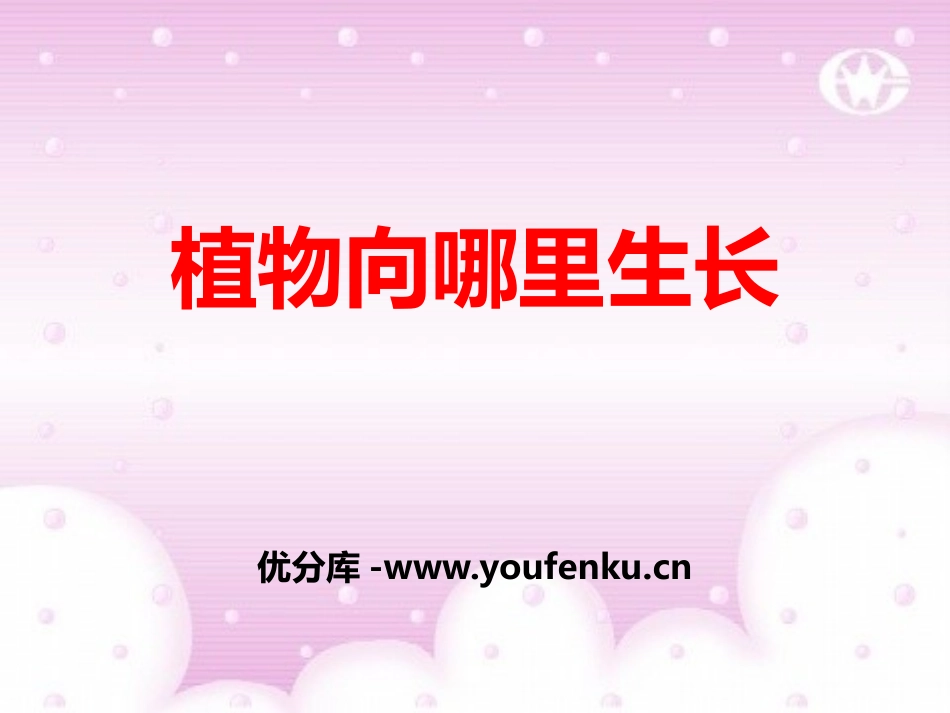《植物向哪里长》PPT课件[青岛版四年级科学下册]_第1页