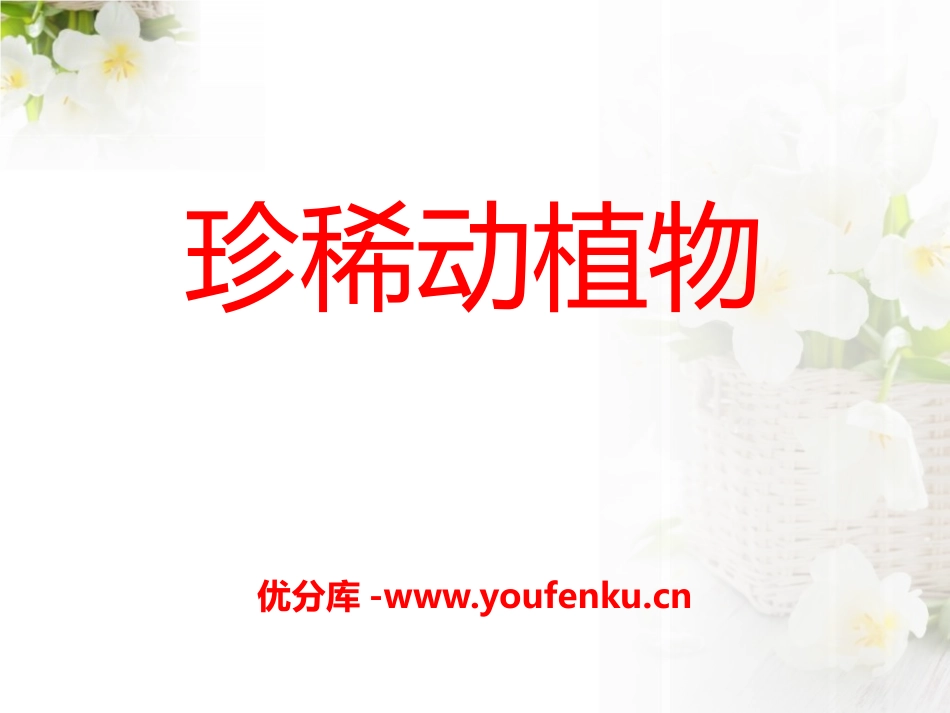《珍稀动植物》PPT课件[青岛版四年级科学下册]_第1页