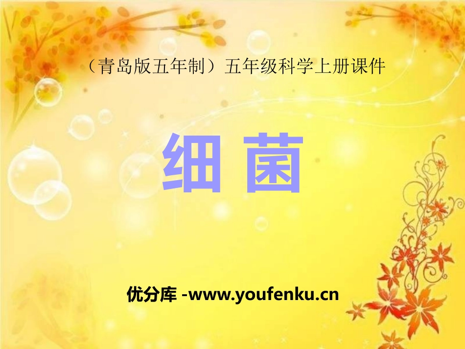 《细菌》PPT课件[青岛版五年级科学上册]_第1页