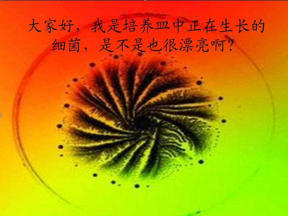《细菌》PPT课件[青岛版五年级科学上册]_第3页