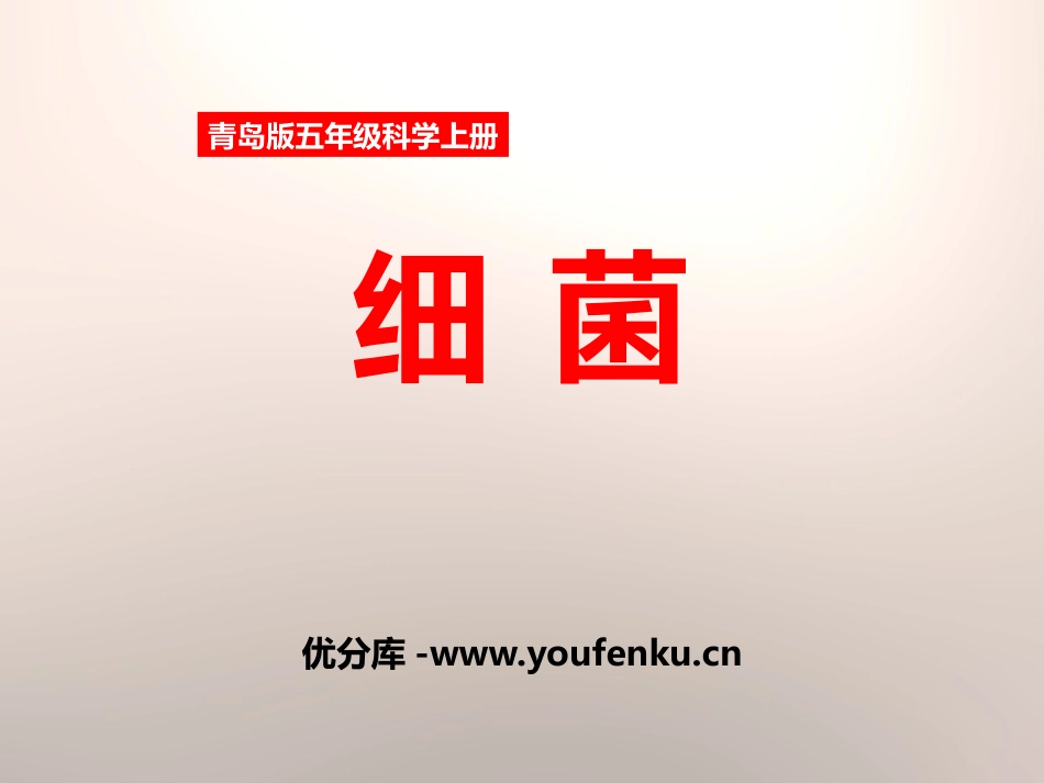 《细菌》PPT课件[青岛版五年级科学上册]_第1页