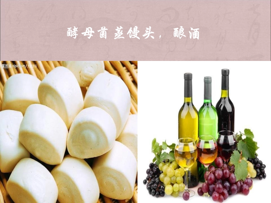 《真菌》PPT课件[青岛版五年级科学上册]_第3页