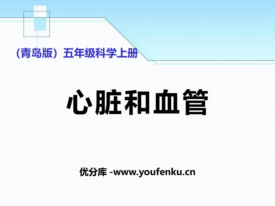《心脏和血管》PPT课件[青岛版五年级科学上册]_第1页