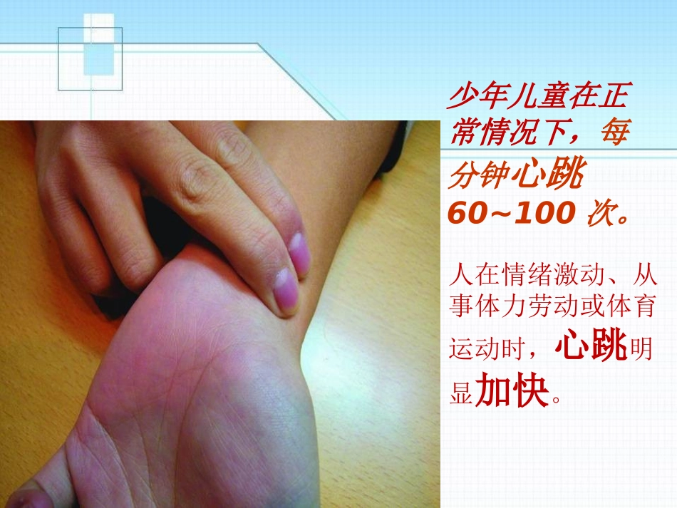 《心脏和血管》PPT课件[青岛版五年级科学上册]_第2页