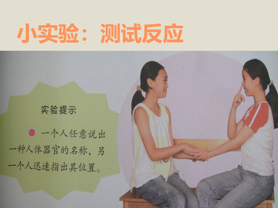 《脑与神经》PPT课件[青岛版五年级科学上册]_第2页