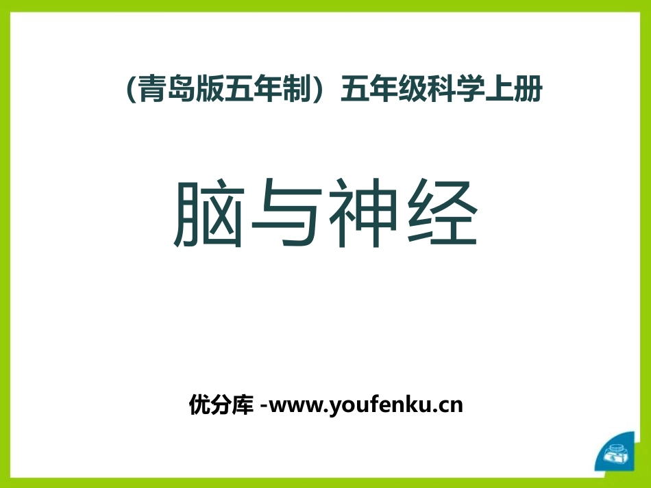《脑与神经》PPT课件[青岛版五年级科学上册]_第1页